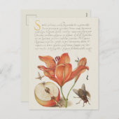 Carte postale vintage d'illustrations botaniques (Devant / Derrière)