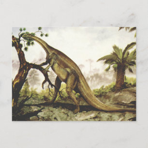 Carte Postale Vintage Dinosaurs, Plateosaurus Grazing on Trees