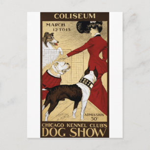 Carte postale vintage Dog Show Chicago