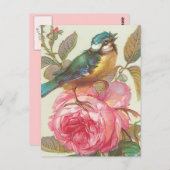 Carte postale vintage d'oiseau (Devant / Derrière)