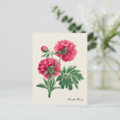 Carte postale vintage Double Peony (Debout devant)