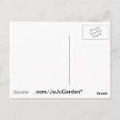 Carte Postale Vintage Dove & Birdbath (Dos)