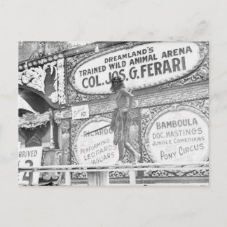 Carte postale vintage DreamLand`s Wild Animal