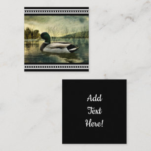 Carte postale vintage du canard colvert altérée