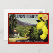 Carte postale vintage du Étiquette Crate (Devant / Derrière)