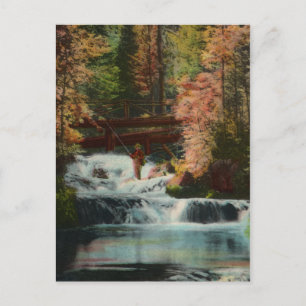 Carte postale Vintage du pêcheur de Black Hills