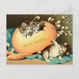Carte postale vintage Easter Kitten