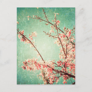 Carte Postale Vintage élégant turquoise usé en bois et cerisier