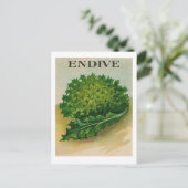 Carte postale vintage endive seed paquet (Debout devant)