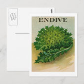 Carte postale vintage endive seed paquet (Devant / Derrière)