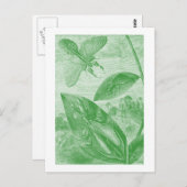 Carte Postale Vintage Entomology (Devant / Derrière)