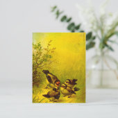 Carte postale vintage Éperviers peints (Debout devant)