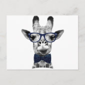 Carte Postale Vintage et drôle Giraffe (Devant)