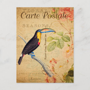 Carte Postale Vintage Exotique Tropical Toucan Bird Floral Franç