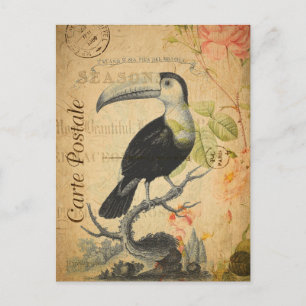 Carte Postale Vintage Exotique Tropical Toucan Bird Floral Franç