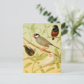 Carte Postale vintage finition et moineau (Debout devant)