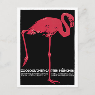 Carte Postale Vintage Flamant rose rose Zoo de Munich