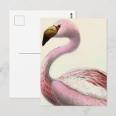 Carte Postale Vintage Flamingo (Devant / Derrière)