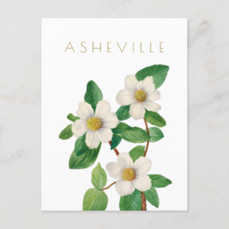 Carte Postale Vintage fleurs d'Asheville voyage du milieu du siè