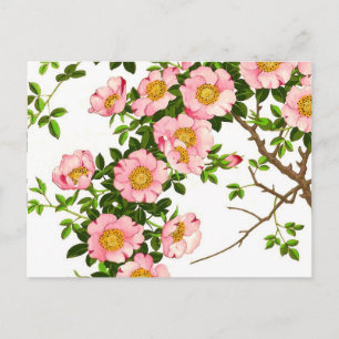 Carte Postale Vintage fleurs de cerises japonaises, rose et or