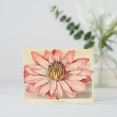 Carte Postale Vintage Floral Art rose (Debout devant)