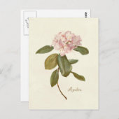 Carte postale vintage florale rose azalée botaniqu (Devant / Derrière)
