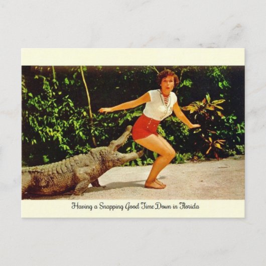 Carte postale vintage Florida Alligator (Devant)