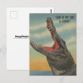 CARTE POSTALE vintage FLORIDA ALLIGATOR (Devant / Derrière)