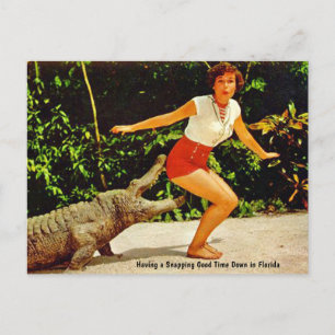 Carte postale vintage Florida Alligator Travel