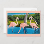 Carte postale vintage Florida Flamants roses Trave (Devant / Derrière)