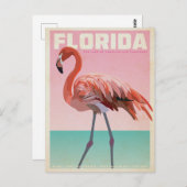 Carte Postale Vintage florida flamigo travel postcard (Devant / Derrière)