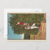 Carte postale vintage Florida Oranges (Devant / Derrière)