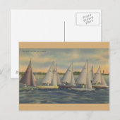 Carte postale vintage Florida Sailboat Racing (Devant / Derrière)