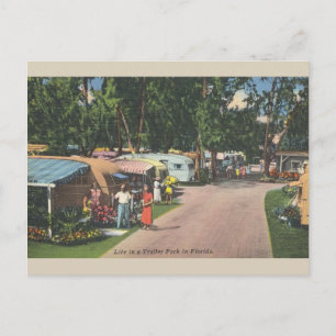 Carte postale vintage Florida Trailer Park