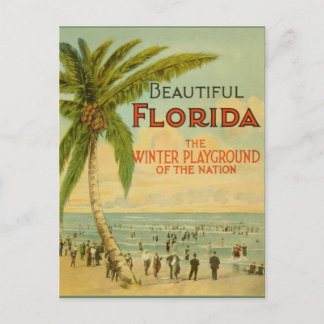 Carte postale vintage Florida Winter Playground