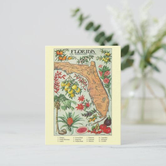 Carte postale vintage Floride (Debout devant)