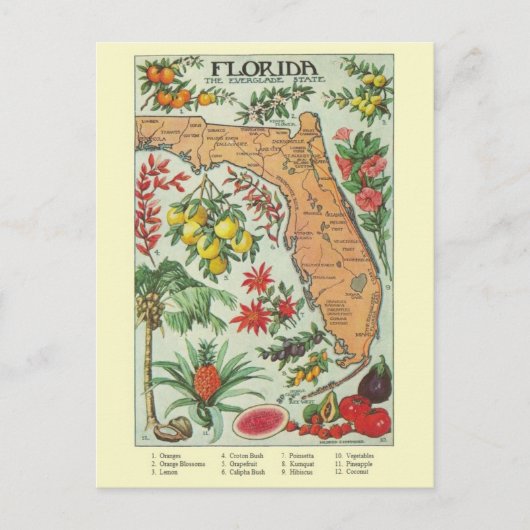 Carte postale vintage Floride (Devant)