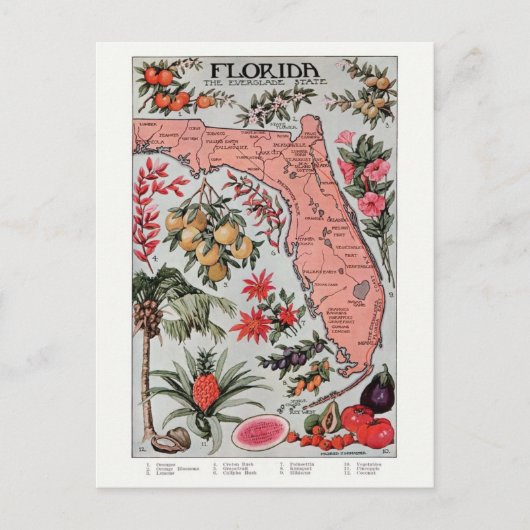 Carte postale vintage Floride (Devant)