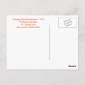 Carte postale Vintage Floride, "Oranges d'emballag (Dos)