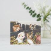 Carte Postale vintage "Four Kittens" (Debout devant)
