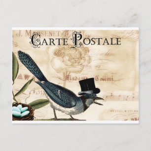 Carte Postale Vintage French Black Top Hart Bluebird Post Card