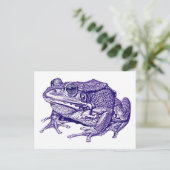 Carte Postale Vintage frog drawing (Debout devant)