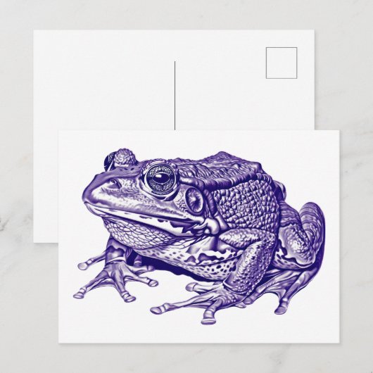 Carte Postale Vintage frog drawing (Devant / Derrière)