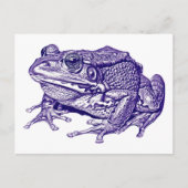 Carte Postale Vintage frog drawing (Devant)
