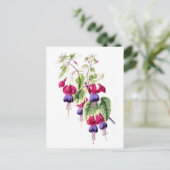 Carte postale Vintage Fuchsia Flowers (Debout devant)