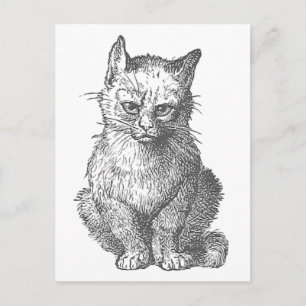 Carte Postale Vintage Grumpy Cat Design