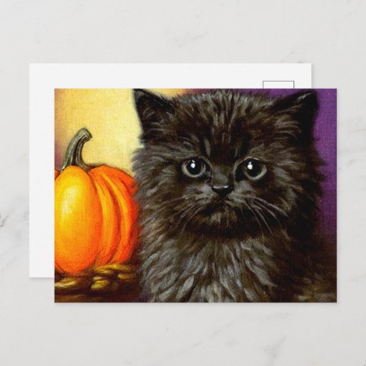 Carte Postale Vintage Halloween Kitten (Devant / Derrière)