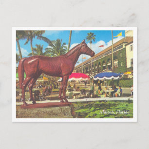 Carte Postale Vintage Hialeah Floride