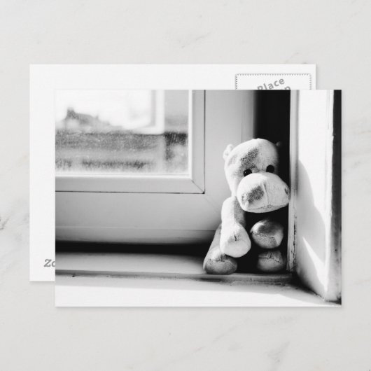 Carte postale Vintage Hippo (Devant / Derrière)