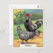 Carte Postale Vintage Houdan Chicken (Devant / Derrière)